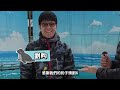 【從零開始養】海豹 海豹吃章魚也吃企鵝 海豹放屁意外療癒 海豹各種迷惑行為 【許伯簡芝】seal