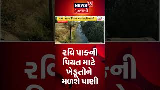 Rajkot News | રવિ પાકની સિઝન માટે ભાદર 1 ડેમમાંથી ખેડૂતોને મળશે પાણી | Gujarati News | #Shorts