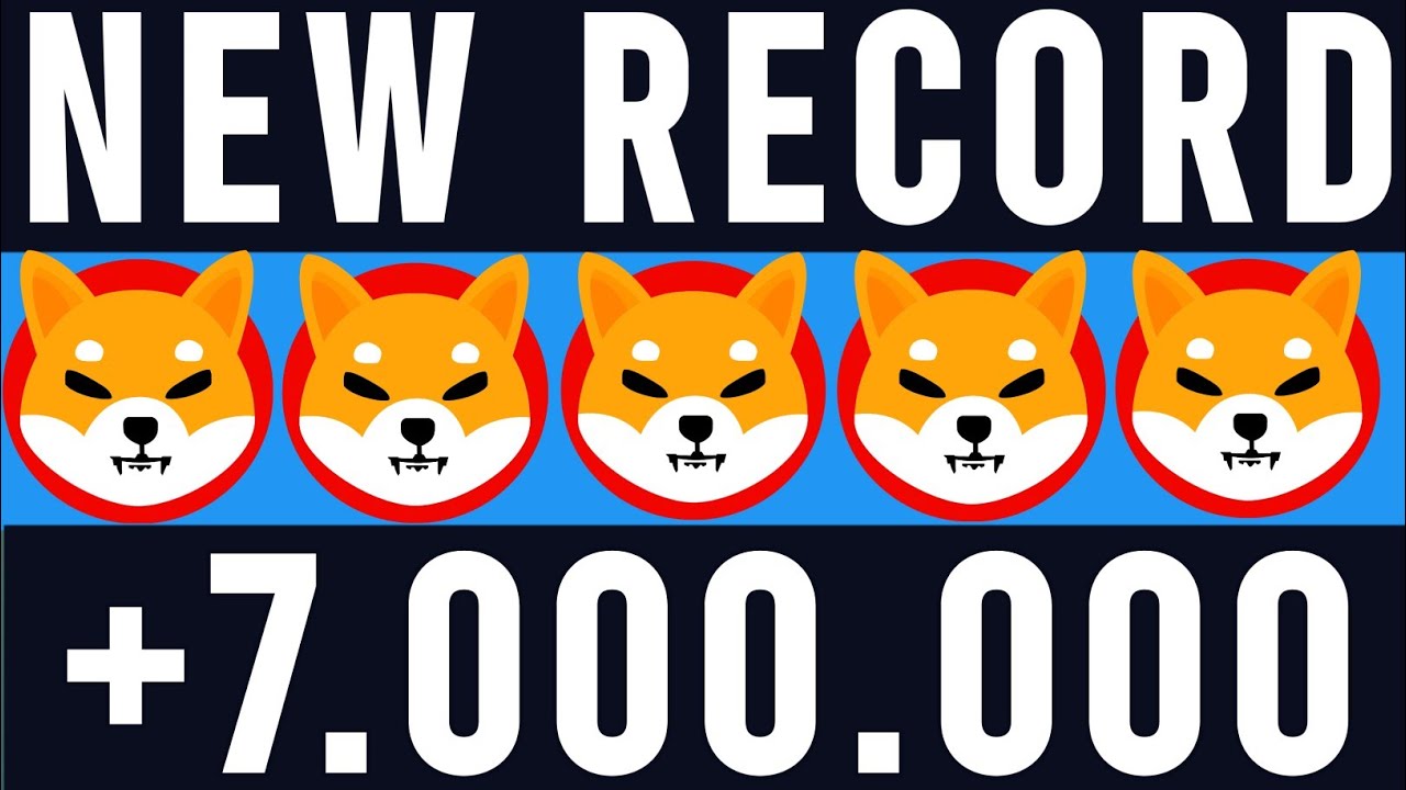 SHIBA INU COIN - Shytoshi Kusama Provides A Big Update About Shibarium ...