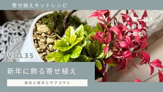 新年に飾る黒松の寄せ植え