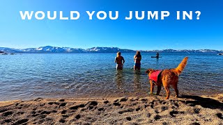 Taking a Cold Plunge into Lake Tahoe in January!