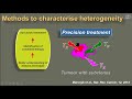 tumour heterogeneity what does it mean dow mu koh