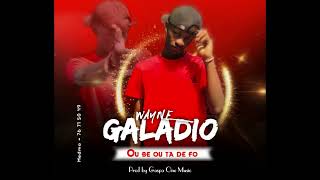 Wayne galadio ou be ou ta de fo