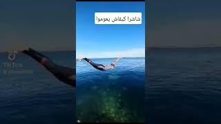 أفضل قفزات البحر 🌊🦈