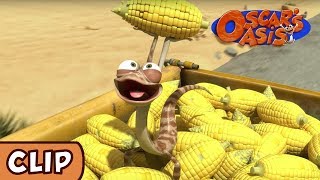 Oscar's Oasis - A Handful of Corn | HQ | Funny Cartoons