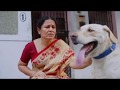 Mittu Man S Best Friend Mj English Subs