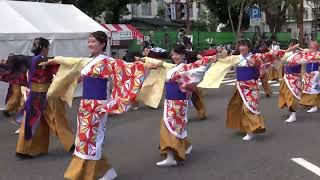 かざね②　2022よさこい鳴子踊り特別演舞　11日追手筋北