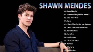 Shawn Mendes Hits Full Album 2021 Shawn Mendes Best Of Playlist 2021