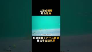 先扔大漁網試水，再上吉普車釣鯊魚，一鏡到底沈浸式體驗釣魚過程！#shorts