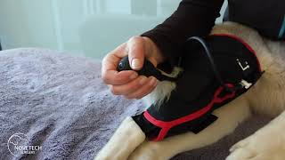 Use and installation of the cryotherapy brace with compression by Valérie Guigardet