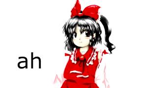 reimu tries to destroy an incident