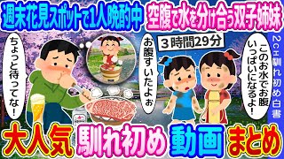 【2ch 馴れ初め総集編】花見スポットで1人晩酌中、空腹で水を分け合う双子→亡き娘が好きだった七輪飯をご馳走した結果… 2ch馴れ初め白書 人気馴れ初め動画まとめてみた！総集編【作業用】【ゆっくり】