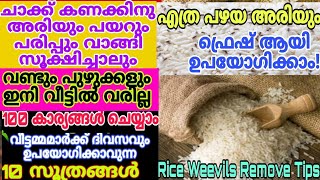 എത്ര വലിയ വീടും വീട്ടുസാധനങ്ങളും ക്ലീൻ ആക്കാൻ ഇത് മതി ബാത്ത്റൂം മുതൽ അടുക്കള വരെ ഇനി വെട്ടിതിളങ്ങും