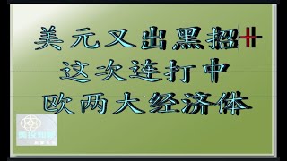 ✨美元又一黑招出现，这次将要连打中欧两大经济体  ！🎈✨美国的房屋数据是否严重造假？ 有美国的分析师亲自视察后，做出了警告！✨