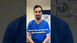Appendicitis Symptoms You Should Know Shorts