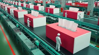 Inside a Modern Tissue Factory | How Wood Turns Into Ultra Soft Tissue