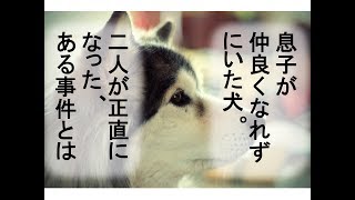 【泣ける話】よそよそしかった息子と犬…お互い素直になった、ある事件とは