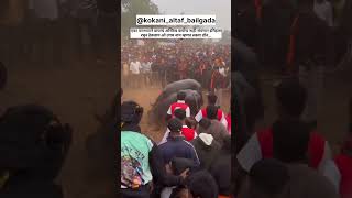 एका पराभवाने इतिहास बदलत नाही... #bullfight #fight #bullfight #bullfight #trend #viral