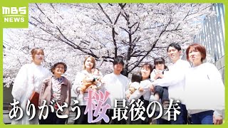 「桜がなかったら家族揃って写真を撮ることもなかった」ありがとう６０年間愛された『桜通り』...魅了されて引っ越してきた人も　伐採決まり迎えた“最後の春”（2024年4月8日）