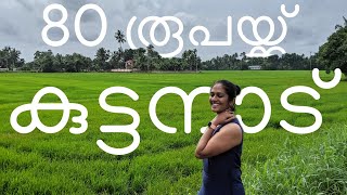 See Kuttanad : 80 രൂപയ്ക്ക് ഒരു കുട്ടനാടന്‍ ബോട്ട് യാത്ര