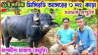 ১১ই কার্তিক💥মিসিরডি আসরের ৩নং কাড়া♨️জগদীশ মাহাতোর কাঁড়া(রঘুডি)🔥লড়াইয়ের জন্য ভয়ানক প্রস্তুতি।