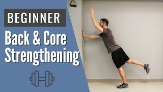 "Beginner" Back & Core Strengthening for Back Pain (Can't Get on Knees)