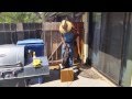 How To Stop Your Dog From Running Out The Gate How To Stop Your Dog From Running Out The Gate