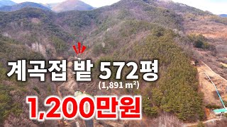 [253] 가격확! 900만원으로 인하 ㅣ놀라운 가격ㅣ망설일 필요없는 자연인생활 주말농장터 최고의 토지 572평(1,891m²)