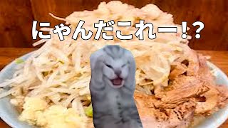 二郎系ラーメンを食べた時に衝撃を受けた話＃猫ミーム　＃猫マニ