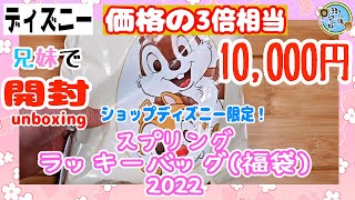 開封unboxing　ディズニー　スプリングラッキーバッグ(福袋) 2022　10,000円　ショップディズニー限定　兄妹と開封