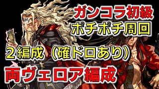 【パズドラ】ピィ集めはココで！（ダンボ最大１６）ガンコラ初級・ポチポチ周回編成２つ（ドロップ確定）