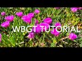 WBGT Wet Bulb Globe Temperature gauge training video