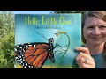 Hello Little One, A Monarch Story by Zeena M Pliska and Fiona Halliday Read Aloud by Dana Reads