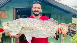 ഇത്രേം വലുത്‌ തീരെ പ്രതീക്ഷിച്ചില്ല.. | Fishing | പരുന്തിനേ വളർത്താമോ???