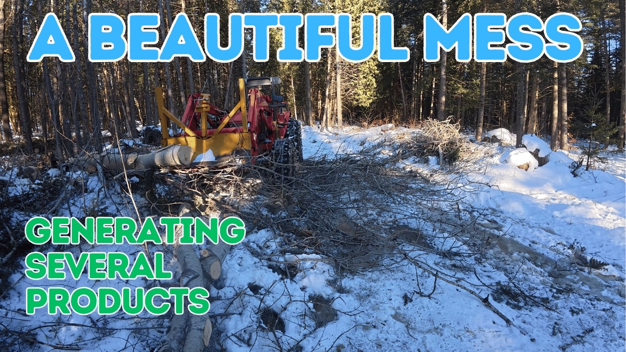 Homeowner Silviculture Part 3 Youtube