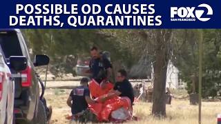 Overdose causes deaths, quarantines in New Mexico | West Coast Wrap