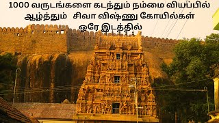 திருமயம் - சத்யகிரீஸ்வரர் - சத்தியமூர்த்தி - குடைவரை கோயில்கள்