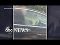 Tesla driver appears to be asleep at the wheel l ABC News