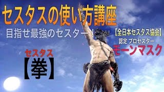 「ダークソウル3」モーンマスクが教える【セスタスの使い方講座】