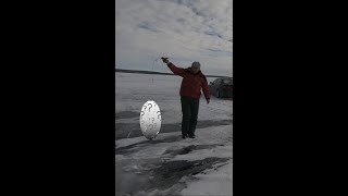 今天钓到了一个绝大多数人都钓不着的新种类 | Alberta | Ice Fishing | Perch | Whitefish | Burbot | Sylvan Lake | Livescope