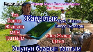 Бизнесмен Сиз үчүн  Жакшы  жаңылык  Сөзсүз  Көрүңүз👍