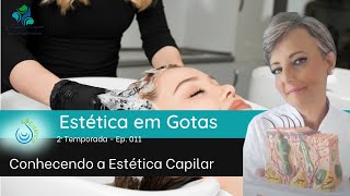 011 - Conhecendo a Estética Capilar - Tricologia e suas possibilidades