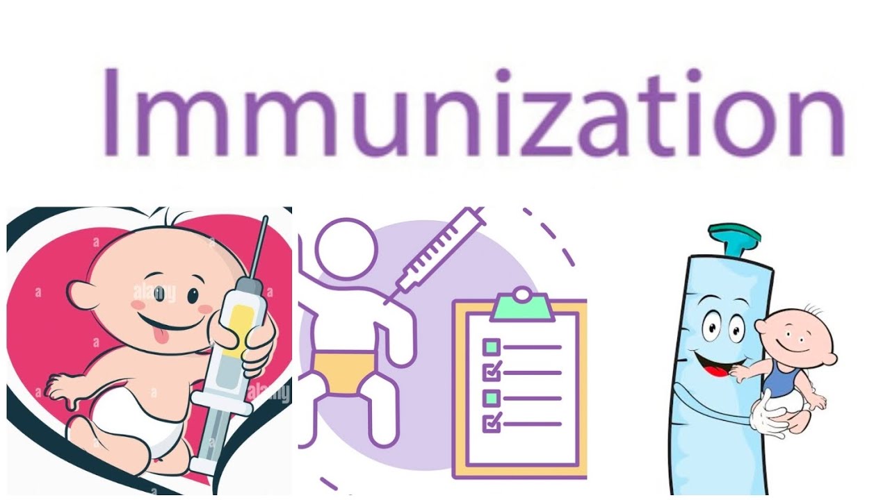 Immunization 1 Youtube