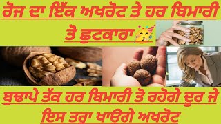 walnuts health benefits|akhrot benefits|ਅਖਰੋਟ ਖਾਣ ਦੇ ਫਾਈਦੇ