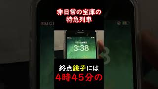 1年に2本だけ運転される非日常の極みの特急列車