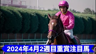 2024年4月2週目重賞注目馬