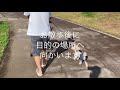 愛犬と一緒に千葉県イオン幕張新都心　前編「豊砂公園」お散歩行ってみた。