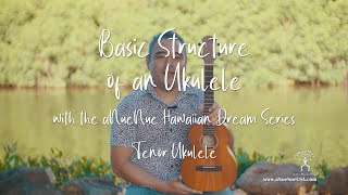 [4K] Basic Structure of an Ukulele (w/ aNueNue Hawaiian Dream Series Tenor Ukulele in Hawaii)