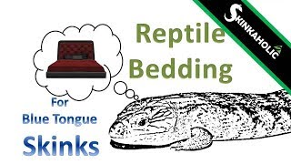 Best Substrates for Blue Tongue Skinks - Ep. 23