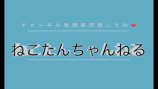 初心者と行くサマナーズウォー街道。ねこたんちゃん自己紹介編[PR]